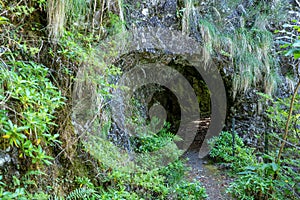 The path by caminho do pinaculo e folhadal levada