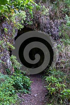 The path by caminho do pinaculo e folhadal levada photo