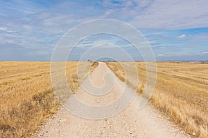 Path in the Camino de Santiago, Spain.