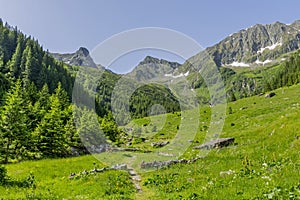 Path in Carphatian Mountains leading to summit