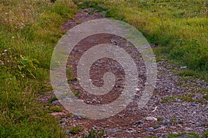 Path in Carphatian Mountains at sunset