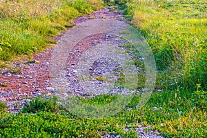 Path in Carphatian Mountains at sunset