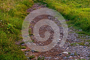 Path in Carphatian Mountains at sunset