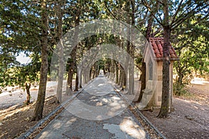 Path through cedar trees archway with small calvary stations in Monastery of Filerimos Rhodes, Greece