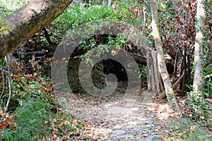 The path of the centaurs (after Cyclone Daniel) Portaria Greece