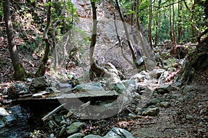 The path of the centaurs (after Cyclone Daniel) Portaria Greece