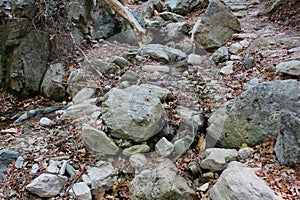 The path of the centaurs (after Cyclone Daniel) Portaria Greece photo