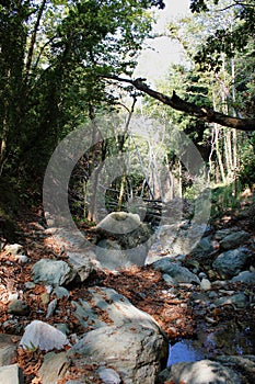 The path of the centaurs (after Cyclone Daniel) Portaria Greece