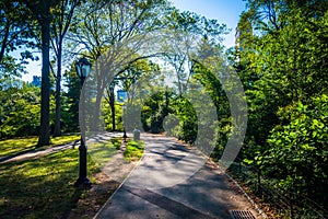 Path in Central Park, Manhattan, New York. photo