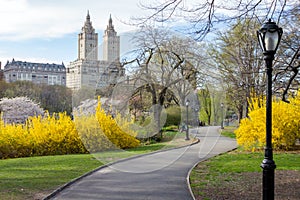 Path through Central Park Spring landscape in New York City