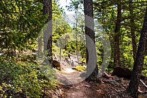 Path on the Chautauqua Park nine