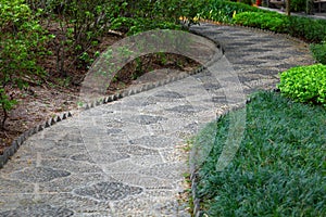 Path in chinese garden