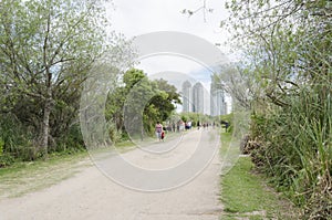 Path of Costanera Sur ecological reserve and modern buildings of Puerto Madero