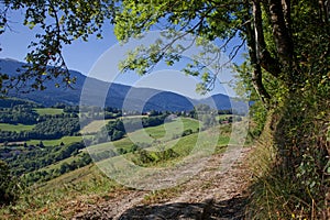 Path in a countryside landscape of hills and forests