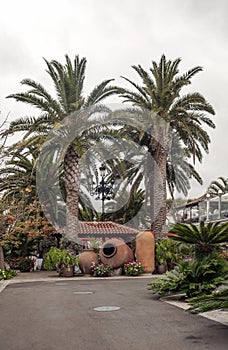 Path in a courtyard with palm trees