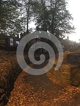 Path covered by leaves, in the fall - Leamington Spa, UK