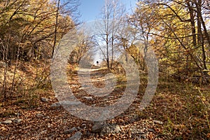 Path covered in the leaves of the trees in autumn.