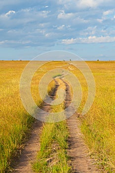 Path crossing the savannah
