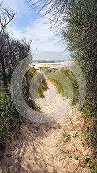 Path Down to Moonee Beach New South Wales Australia