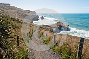 Path down to the Natural arch at Tunnel beach, Dunedin, New Zealand photo