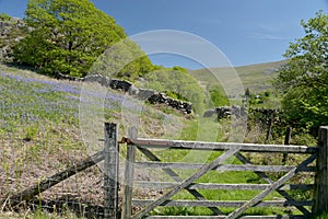 Path in Duddon Valley, Lake District