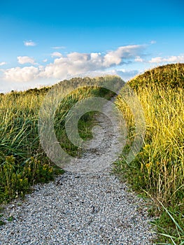 Path in Dunes