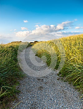 Path in Dunes