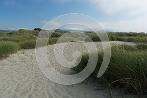 Path in dunes