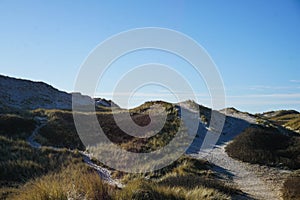 Path through the dunes