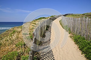 Path in the dunes of Quiberon in france