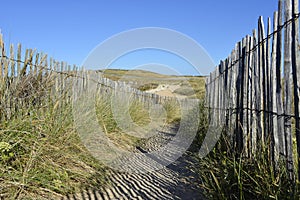 Path the dunes of Quiberon in France