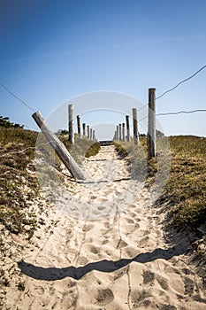 Path In The Dunes Of Quiberon In France