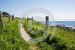 Path In The Dunes Of Quiberon In France