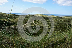 Path through the dunes