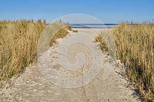 Path in the dunes in Schillig, North Sea coast, Germany