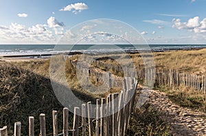 Path in the dunes towards the beach