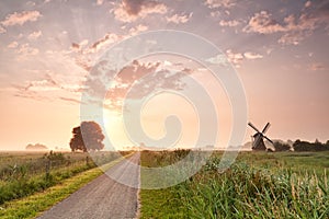 Path in Dutch farmland with windmill