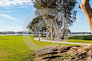 Path Through Embarcadero Marina Park North, With San Diego Bay photo