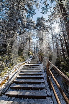 Path in the Emei Mountain in winter
