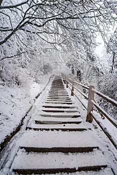 Path in the Emei Mountain in winter