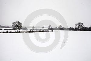 A path through farmland in warwickshire