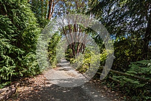 Path And Fence