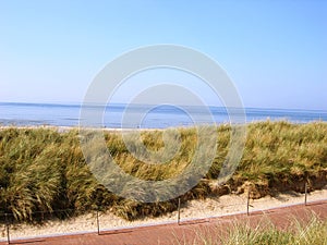 Path with fence and seagrass leading to the beach photo