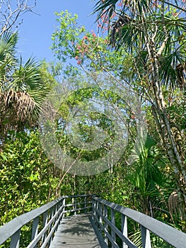 path in Fern Forest Nature Center