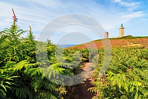 Path through ferns at Cap FrÃ©hel