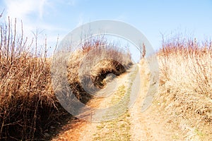 Path through field