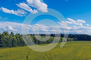 Path in the field grass. Meadow picturesque summer landscape with clouds on blue marvelous sky view background. Green grassland