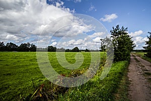 Path and Fields in the village Karwienskie Blota Drugie 2018