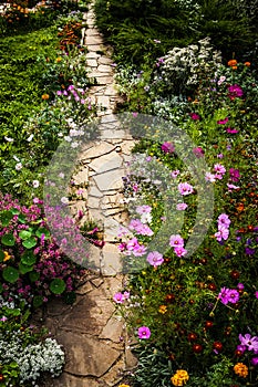 Path and flowers in garden