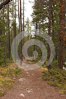 Path in a forest in Canada in fall